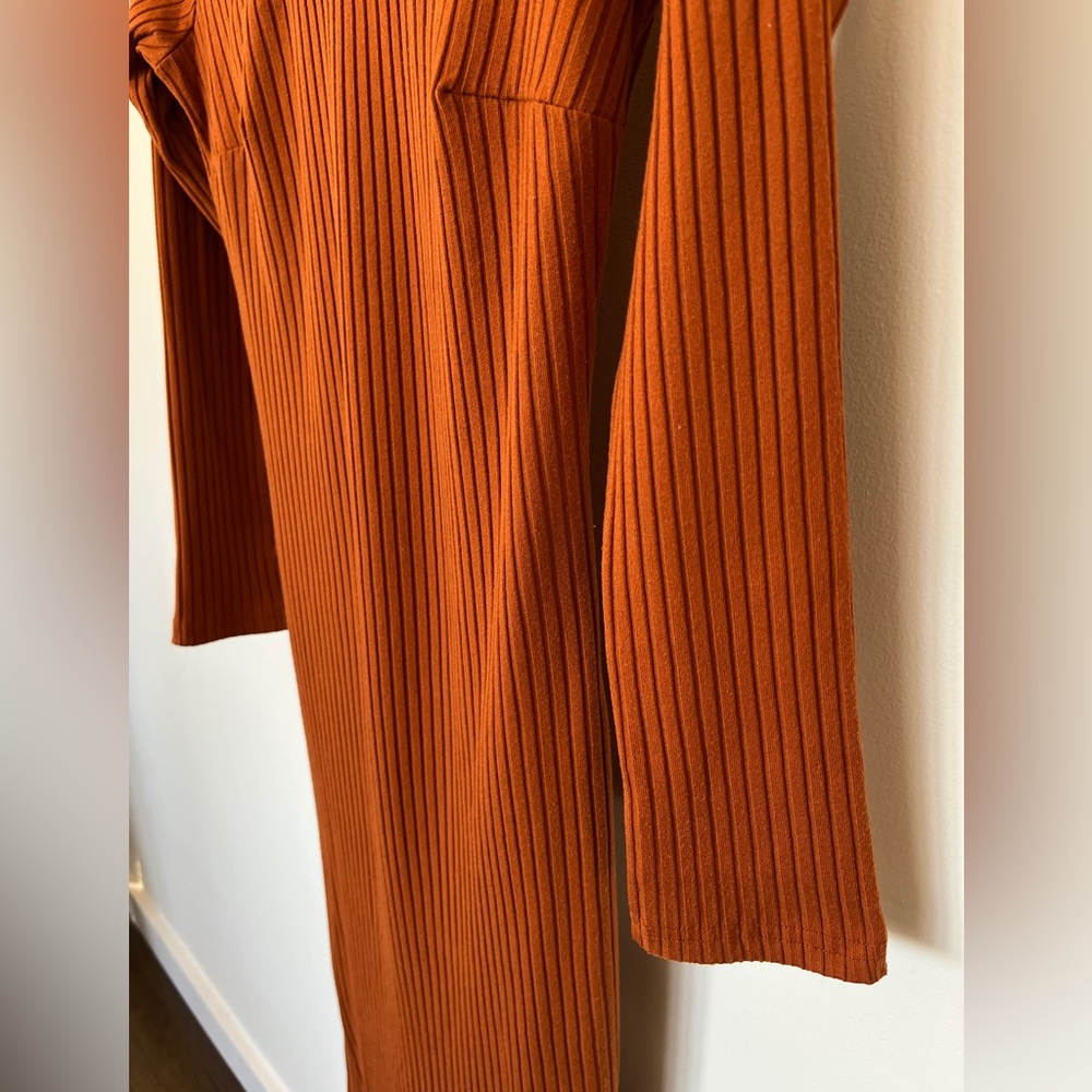 Rust Colored Ribbed Dress - Picture 6 of 9